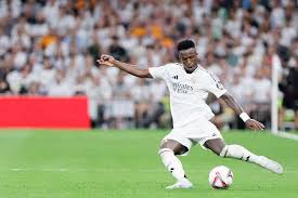 篮球篮网主帅接受采访谈战术