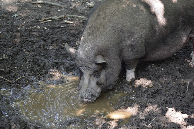 欧冠：利物浦2-0击败马赛